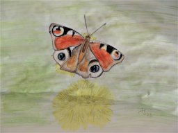 Drawn Pictures